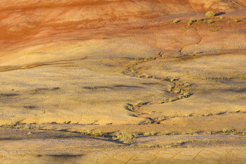 Detail Of The Painted Hills